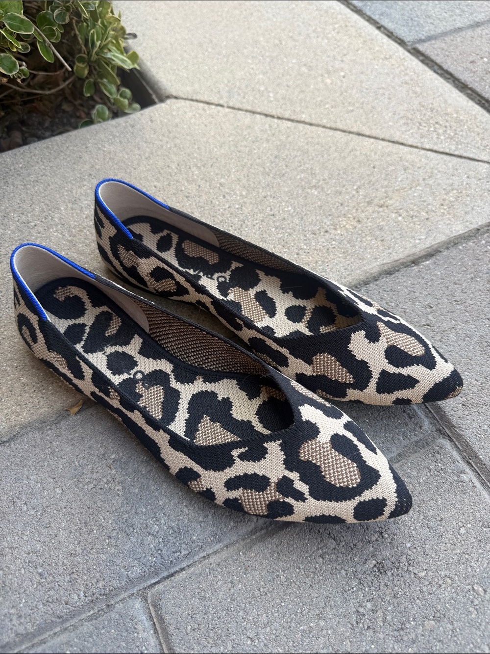 Rothy’s  leopard shoes 9